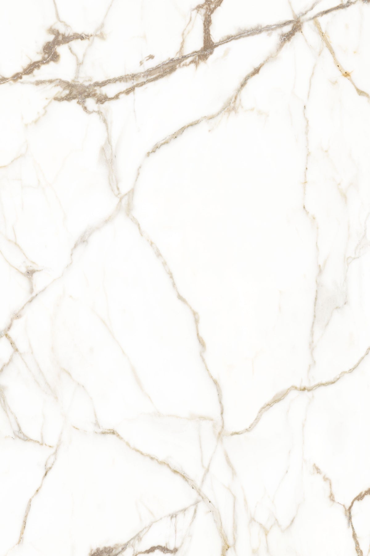 חיפוי קיר דגם Bianco Gold