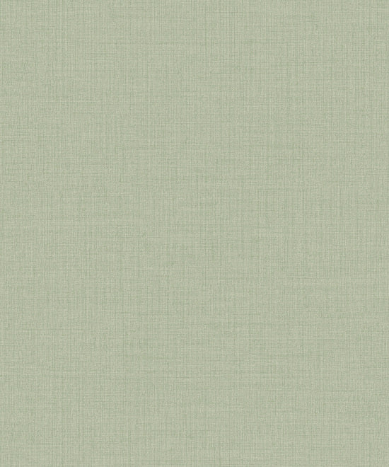 Модель обоев IC1013