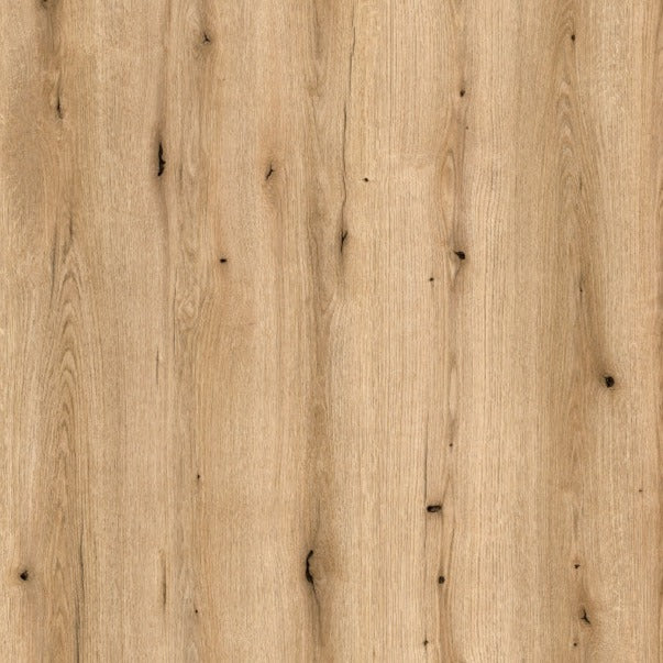 חיפוי קיר דגם Coast Evoke Oak