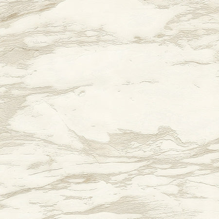 Wallpaper model RC21022