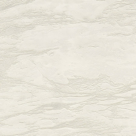 Wallpaper model RC21025