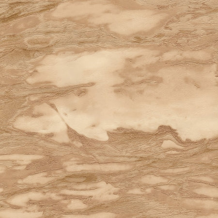 Wallpaper model RC21029