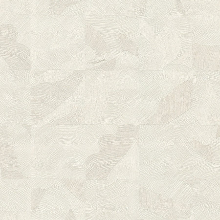 Wallpaper model RC21062