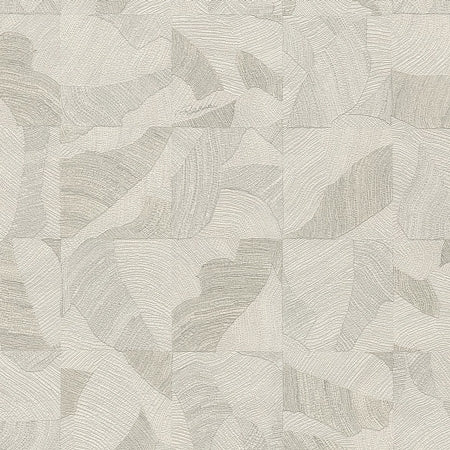 Wallpaper model RC21063