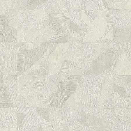 Wallpaper model RC21064