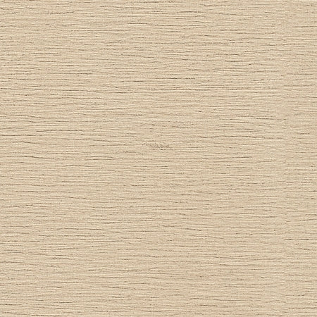 Wallpaper model RC21081