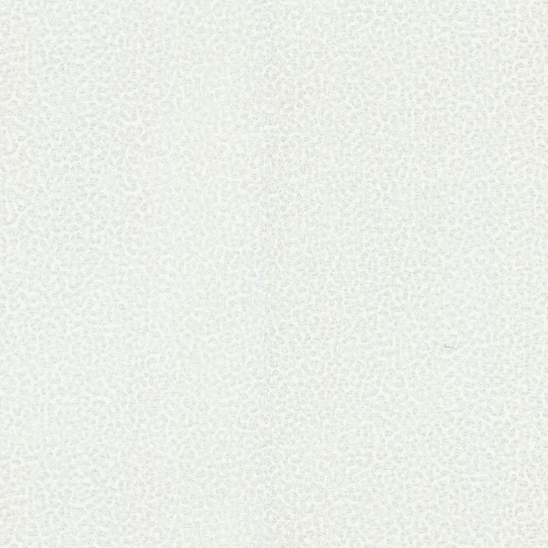 Обои модель RC19020