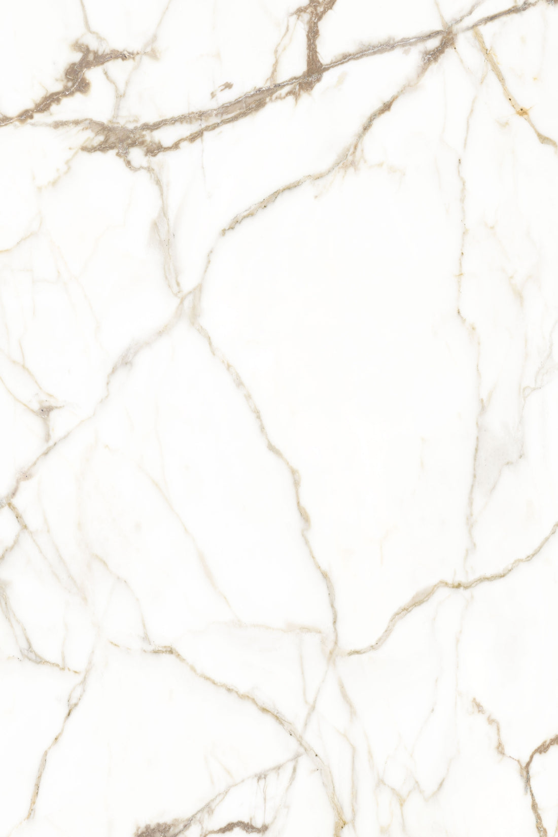 חיפוי קיר דגם Bianco Gold