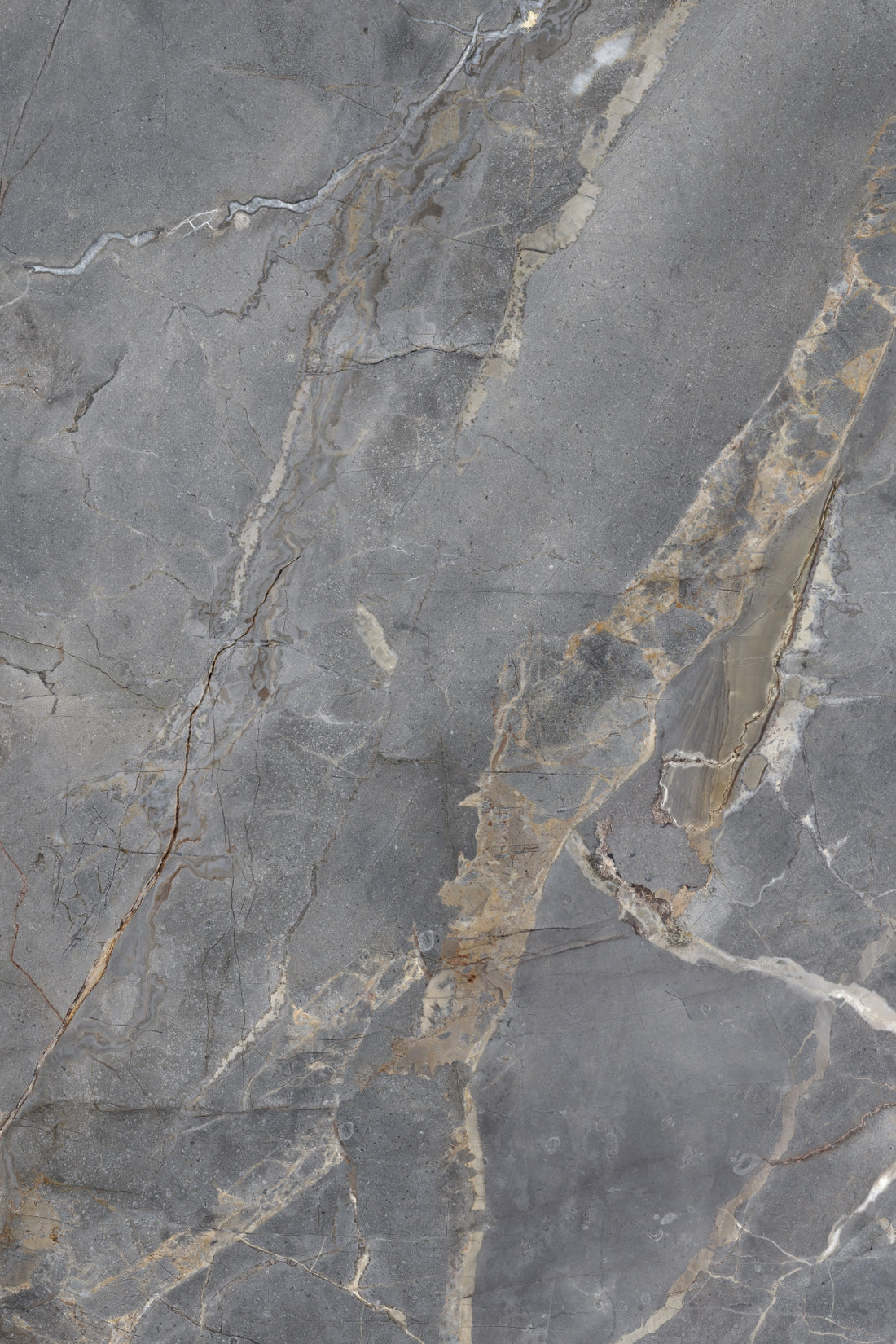 Wall cladding model Calacatta Olympus