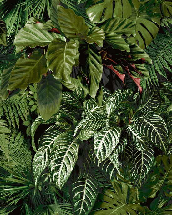 Обои модели A58601