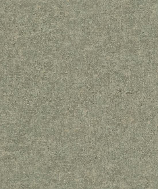 Wallpaper model BZ1006