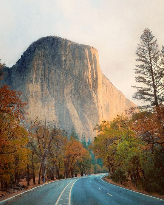 Wallpaper model ML1201