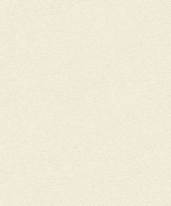 Wallpaper model UI1003