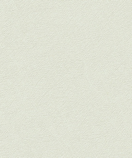 Wallpaper model UI1009